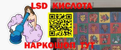 СК Новозыбков