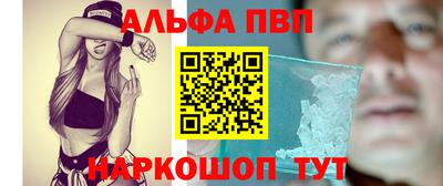 СК Новозыбков
