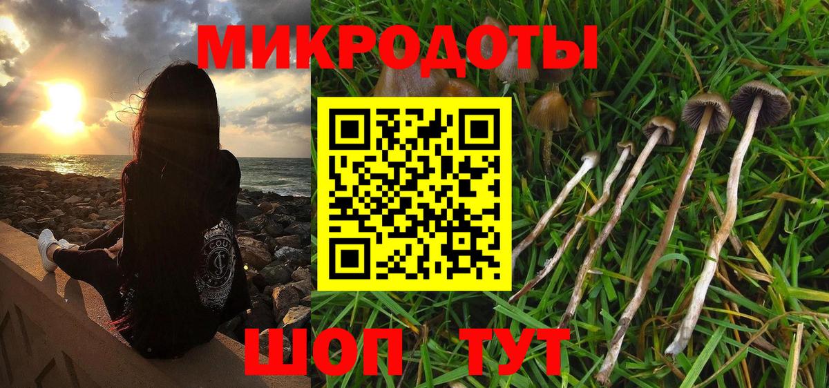 Псилоцибиновые грибы Psilocybe Сланцы