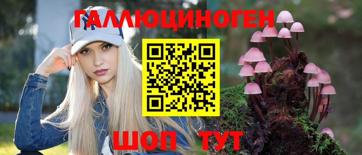 Галлюциногенные грибы Magic Shrooms  Вход с VPN  Псилоцибиновые грибы Psilocybine cubensis  Сланцы 