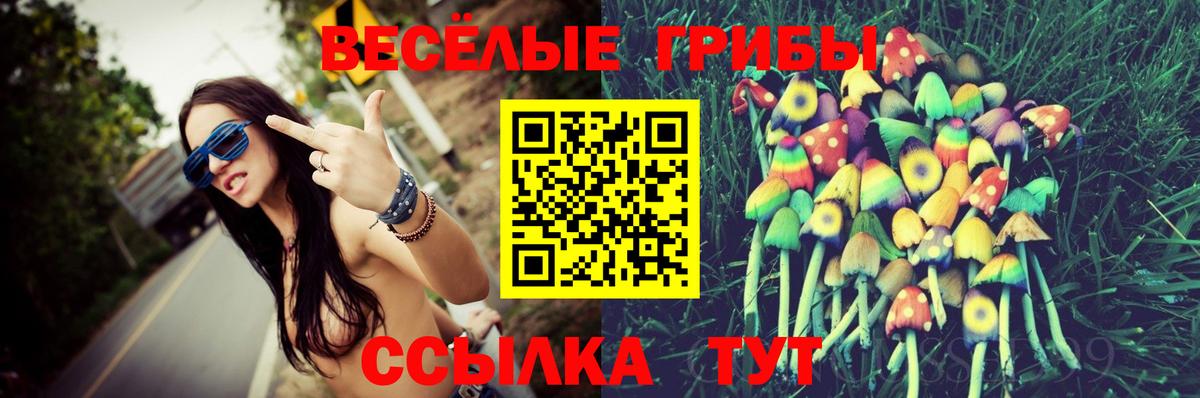 Сланцы  МЕФ кристаллы  КОКАИН  Вход с VPN  Где продают наркотики?  ГАШ  Каннабис 